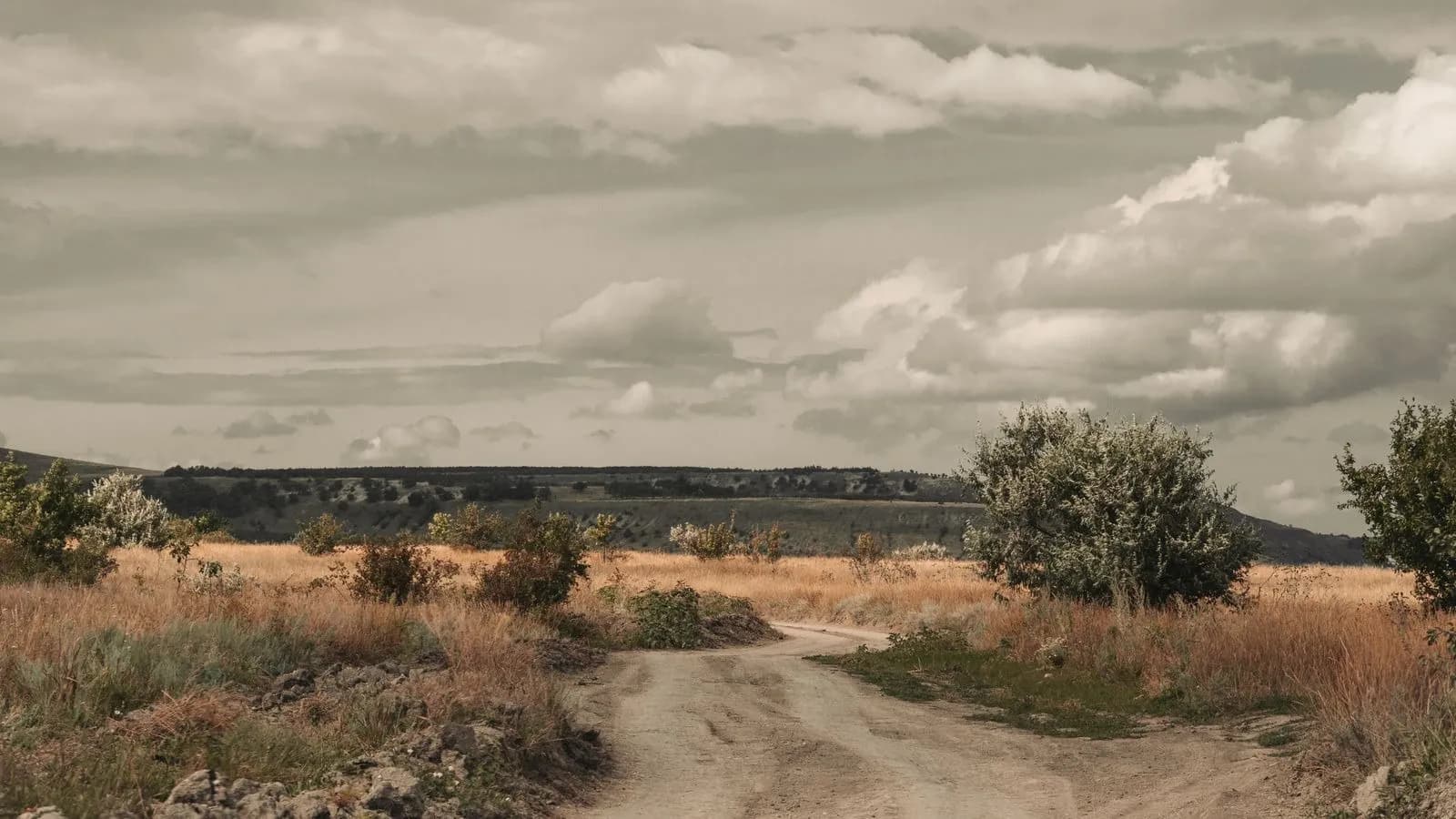 Bulutlu gök altında bozkırdan geçen toprak yol